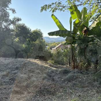 Продается Участок, 69000 м²