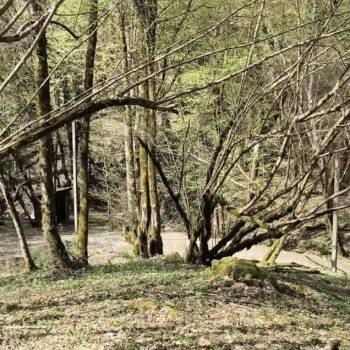 Продается Участок, 700 м²