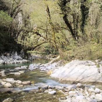 Продается Участок, 700 м²