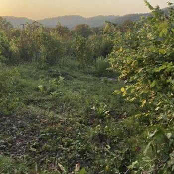 Продается Участок, 600 м²