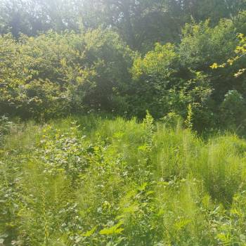 Продается Участок, 620 м²