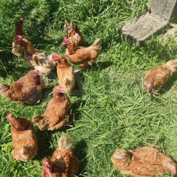 Продается Дом, 93 м²