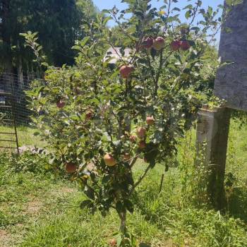 Продается Дом, 93 м²