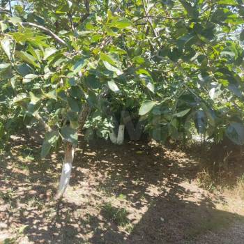 Продается Дом, 93 м²