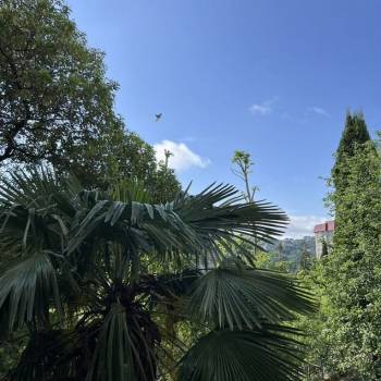 Продается 3-х комнатная квартира, 72 м²