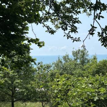 Продается Участок, 400 м²