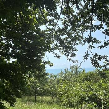 Продается Участок, 400 м²