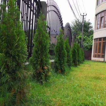 Продается 1-комнатная квартира, 20 м²