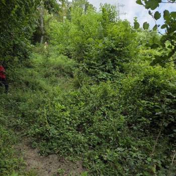 Продается Участок, 2060 м²