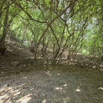 Продается Участок, 2060 м²