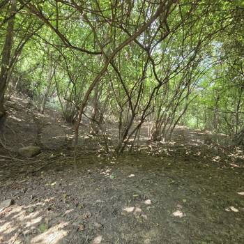 Продается Участок, 2060 м²