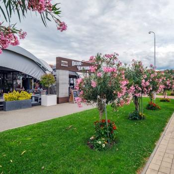 Продается 1-комнатная квартира, 32 м²