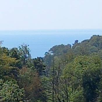 Продается 1-комнатная квартира, 29,3 м²