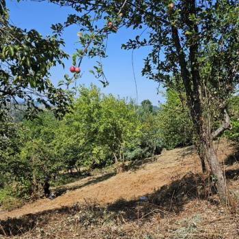 Продается Участок, 800 м²