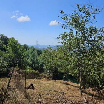 Продается Участок, 800 м²