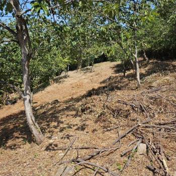 Продается Участок, 800 м²