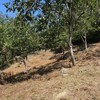 Продается Участок, 800 м²