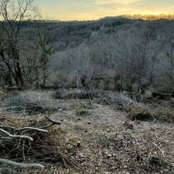 Продается Участок, 590 м²