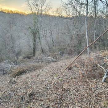 Продается Участок, 590 м²