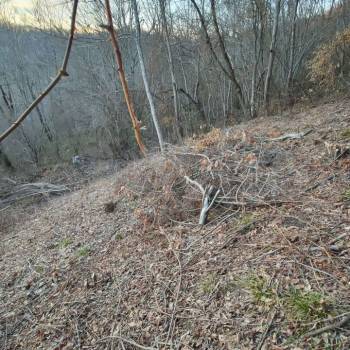 Продается Участок, 590 м²