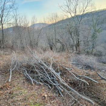 Продается Участок, 590 м²