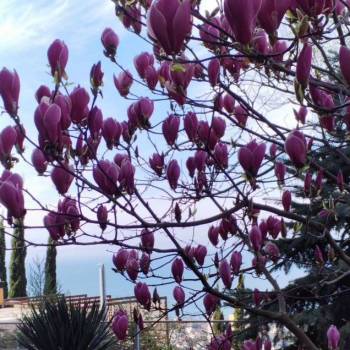 Продается 2-х комнатная квартира, 55,1 м²