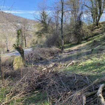 Продается Участок, 800 м²