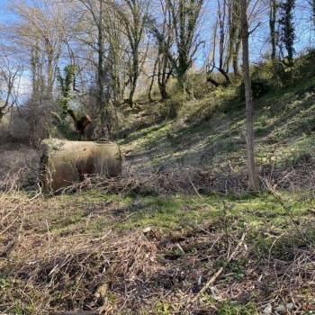 Продается Участок, 800 м²