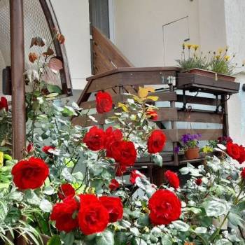 Сдается Дом, 50 м²