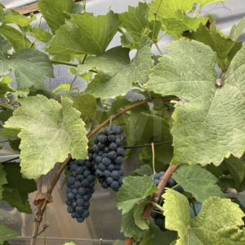 Продается Дом, 124 м²