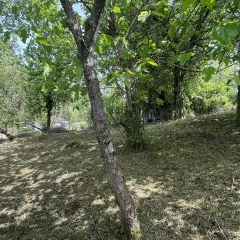 Продается Участок, 770 м²