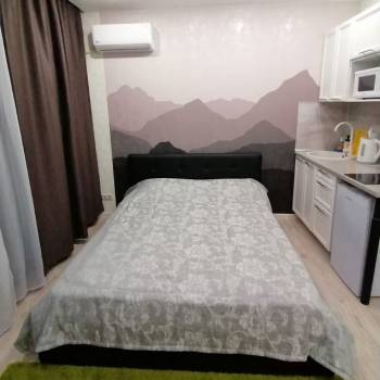 Продается 1-комнатная квартира, 24 м²