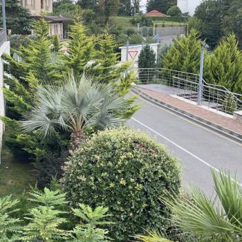 Сдается Многокомнатная квартира, 98 м²