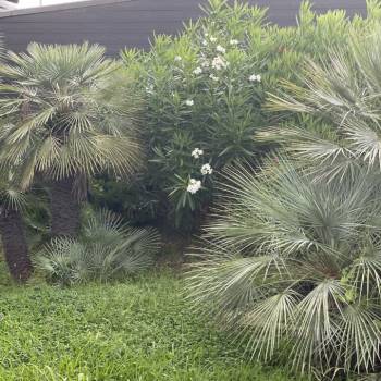 Сдается Многокомнатная квартира, 98 м²