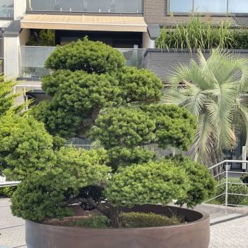 Сдается Многокомнатная квартира, 98 м²