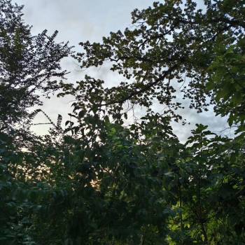 Продается Участок, 730 м²