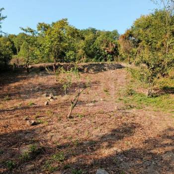 Продается Участок, 1000 м²