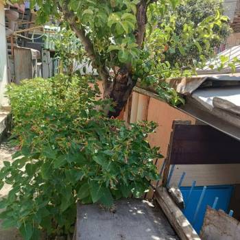 Продается Дом, 20 м²