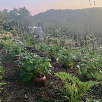 Продается Участок, 460 м²