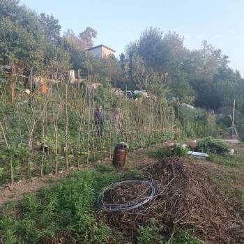 Продается Участок, 460 м²