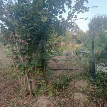 Продается Участок, 460 м²