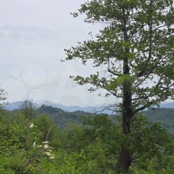 Продается Участок, 500 м²