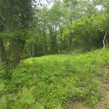 Продается Участок, 500 м²