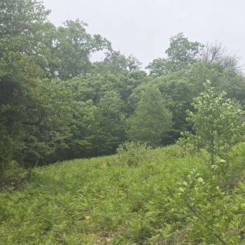 Продается Участок, 500 м²