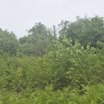 Продается Участок, 500 м²