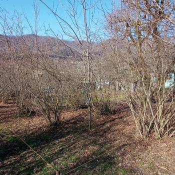 Продается Участок, 750 м²