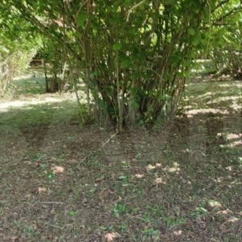 Продается Участок, 750 м²