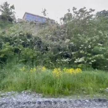 Продается Участок, 600 м²