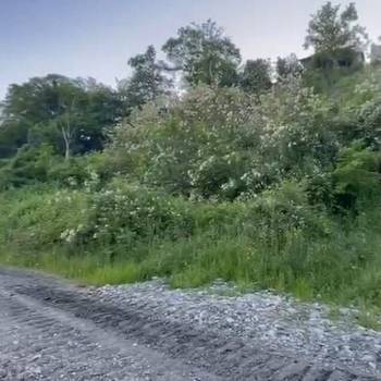 Продается Участок, 600 м²