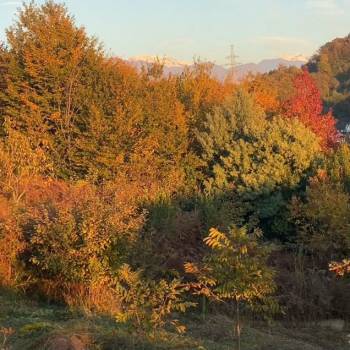 Продается Участок, 410 м²